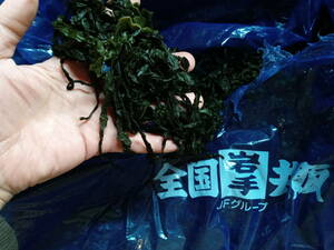 * crisp . tortoise![ three land Iwate production ]~ cut leaf ~ salt warehouse . tortoise (150g×3 sack )