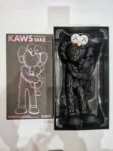 KAWS TAKE BLACK