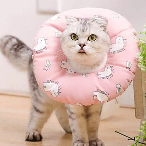 【ラスト１品】首輪猫の首輪猫の首の襟ソフト猫が快適1PCS用首輪アジャスタブル首輪用品 猫