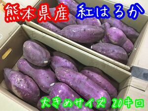 熊本県産 新物 紅はるか 大きめサイズ 優品箱込20キロ