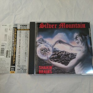 90年盤★銀色帯★シルヴァー・マウンテン★シェイキン・ブレインズ★SILVER MOUNTAIN★SHAKIN' BRAINS #北欧 #マディソン #TNT #TREAT