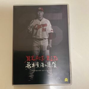 【DVD】 BRAVE RED 新井貴浩の流儀 ~不撓不屈の20年辿りついた栄光~