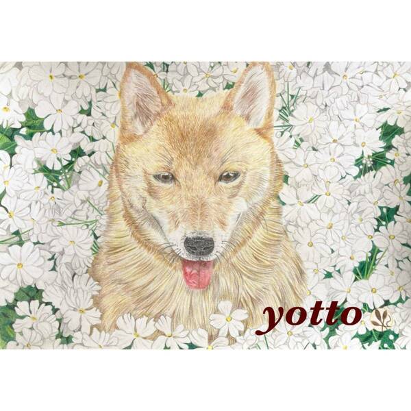 色鉛筆画「 lucky 」Ｂ５・額付き◇◆手描き◇原画◆犬◇◆yotto