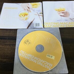 TASTING MACAROCK マカロニえんぴつ CD レンタル限定 即決 送料200円 206の画像1