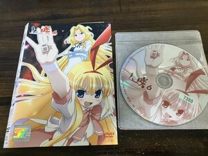 咲　Saki　6　DVD　即決　送料200円　209