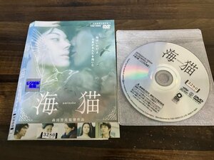 海猫　DVD　伊東美咲　佐藤浩市　森田芳光　即決　送料200円　211