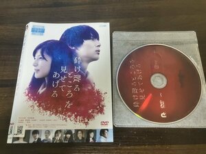 砕け散るところを見せてあげる　DVD　中川大志　石井杏奈　即決　送料200円　228