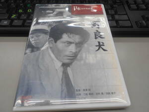 DVD 野良犬/黒澤　明　USED　セル用