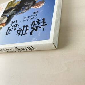 薮岩魂 ハイグレード・ハイキングの世界 打田鍈一 山と渓谷社の画像3