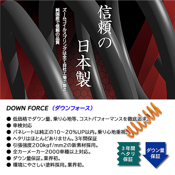 ベンツ CLS C219 CLS500 219375 113 新品 ZOOM/ズーム ダウンフォース ダウンサス 1台分 ベンツ CLS C219 CLS500 219375 113 新品 ZOOM/ズーム ダウンフォース ダウンサス 1台分