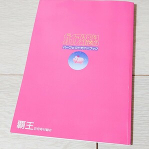 ガイア幻想紀 パーフェクトガイドブック 覇王2月号付録 sfcの画像2