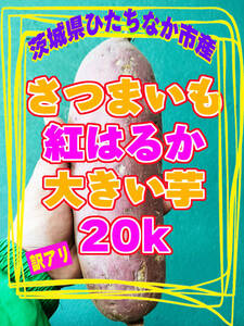 令和5年度収穫　さつまいも【紅はるか】大芋　20kg　玄米袋入り　【洗浄済】天ぷら　焼いも　干しいも　惣菜　弁当　大学いも