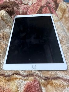 iPad Pro 10.5inch Cellular SIMフリー Apple シルバー