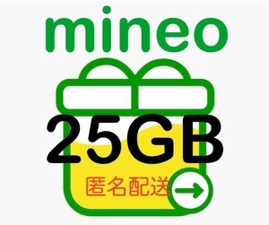 【匿名配送】 マイネオ パケットギフト 25GB (8000MB×2、9000MB×1)