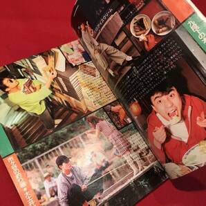 A7290●本・雑誌・昭和芸能情報・アイドル【明星】1984年/昭和59年11月 近藤真彦/チェッカーズ/小泉今日子/岡田有希子/坂上忍/堀ちえみの画像4