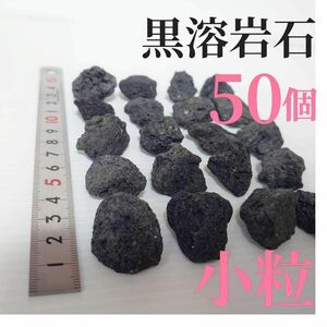 【希少】黒溶岩石 50個 【小粒】☆アクアリウム、テラリウム、コケリウムに最適