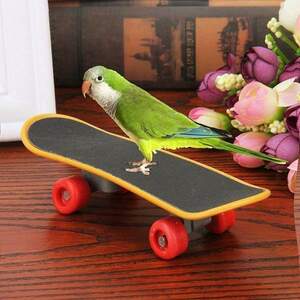 [by5-a2] bird san for Mini skateboard parrot parakeet pet accessories -stroke less cancellation toy Insta finger ske