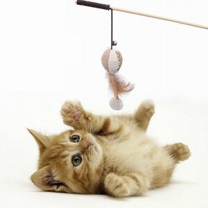 「a9n-a2」 猫じゃらしスティック ボール 羽付き棒 ネコ 遊び道具 ペット 猫 おもちゃ