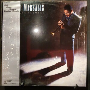 Wynton Marsalis ウィントン・マルサリス / Hot House Flower スターダスト 中古レコード アナログ LP