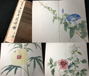 2756草花 朝顔ほか 絵入 絵本■〇〇散民花卉册■ 全26面 彩色 肉筆 画帖 絹装 画譜 図譜 特大本 和本浮世絵ukiyoe古書古文書和書骨董古美術