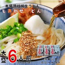 送料無料 本場讃岐うどん 6人前 つゆ付き 麺240g x3袋 つゆ20ml x6個 _画像1