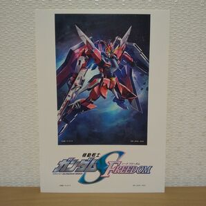 ガンダムSEED FREEDOM イモータルジャスティス ステッカー