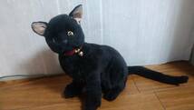 黒猫　クロネコ　ぬいぐるみ リアル 5-768_画像1