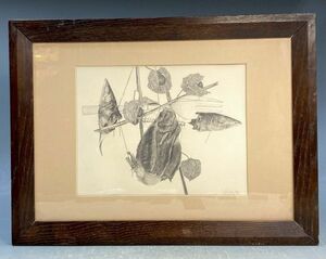 Art hand Auction [Replica] SHOJI '73 Pencil drawing (tentative) Drawing Fish Hozuki Drawing Art Framed y09676500, Artwork, Painting, others