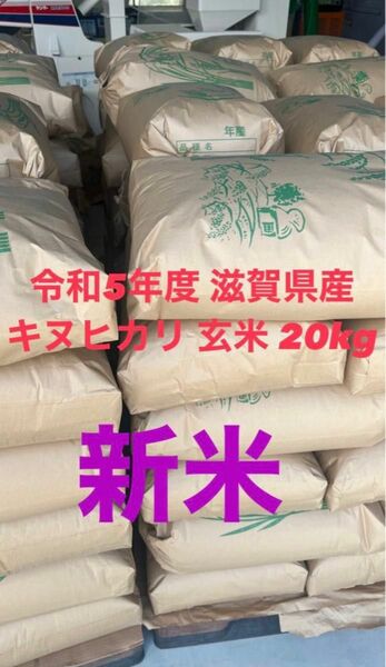 令和5年度 滋賀県産 近江米 キヌヒカリ 玄米 20kg 値下げ不可