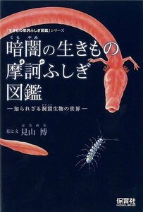 暗闇の生きもの摩訶ふしぎ図鑑－生きもの摩訶ふしぎ図鑑シリーズ