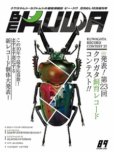 2024年ビークワカレンダープレゼント！　代引き不可！ビークワ89号　送料無料！