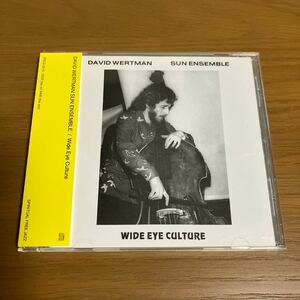 David Wertman Sun Ensemble Wide Eye Culture Spiritual Jazz 国内廃盤CD