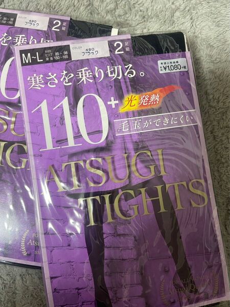 【2袋セット】アツギ タイツ 110デニール