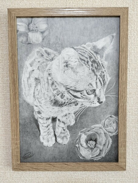 額縁付き猫の絵画　鉛筆画原画　ベンガルと椿