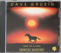 DAVE GRUSIN ONE OF A KIND デイブ・グルーシン　ワン・オブ・ア・カインド_画像1