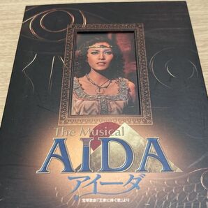 宝塚歌劇　The Musical〜AIDA〜
