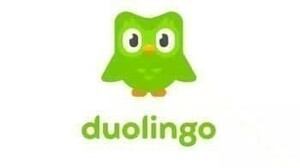 外国語学習 Duolingo 有料プラン 約12ヶ月 2025年2月まで (Duolingo SUPER, ファミリープラン, 英語, 韓国語, フランス語, 中国語)　