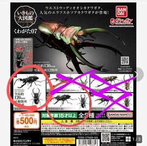 いきもの大図鑑　クワガタ07 　ミヤマクワガタ(改)4　ウエストクワガタ1　2体セット　送料無料 ガチャガチャ