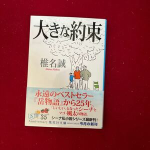 大きな約束 （集英社文庫　し１１－３５） 椎名誠／著