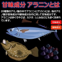 集魚剤 つけエサ用 アミノ酸 アラニン パウダー 30g ２個組 冷凍 オキアミ 冷凍イワシ エサ 海上釣堀 エサ アミエビ 釣りエサ 釣り餌_画像2