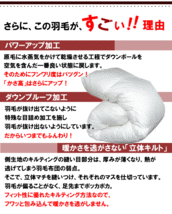 羽毛布団 セミダブル ホワイトダック 90% 1.2kg 350dp以上 日本製 ホテル仕様 エクセルゴールドラベル 羽毛布団 羽毛ふとん 掛け布団 羽_画像5