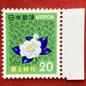 1972年 国土緑化【森林とゆきつばき 】20円 未使用 耳紙付き  NH美品 まとめてお取引可の画像1