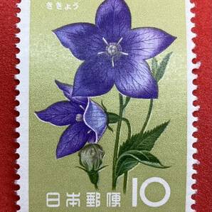 記念切手 1961年 花シリーズ【桔梗（ききょう）】10円 NH美品 まとめてお取引可の画像1