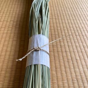 【上質・乾燥真菰(まこも)葉200g［長さ110cm］】