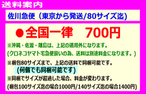 新品未開封★ハイパーホビー限定/リアルアクションヒーローズ No.268 ヨロイ元帥/メディコム・トイ_画像3