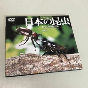 Z11154 ◆日本の昆虫　DVD映像図鑑
