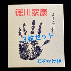 徳川家康　ますかけ相　強運手形　3枚セット