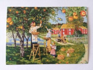 【北欧雑貨スウェーデン】未使用・長期在庫品◆絵葉書・ポストカード《りんごの収穫》昔のスウェーデンの農家の風景・Jan Bergerlind