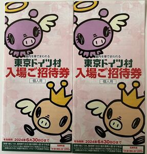 2枚セット東京ドイツ村 入園ご招待券入場ご優待券 招待券一枚で駐車料金1000円のお支払いで乗車者全員入園料無料で入園できます6月30日まで