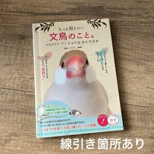 もっと知りたい文鳥のこと。　文鳥　育成